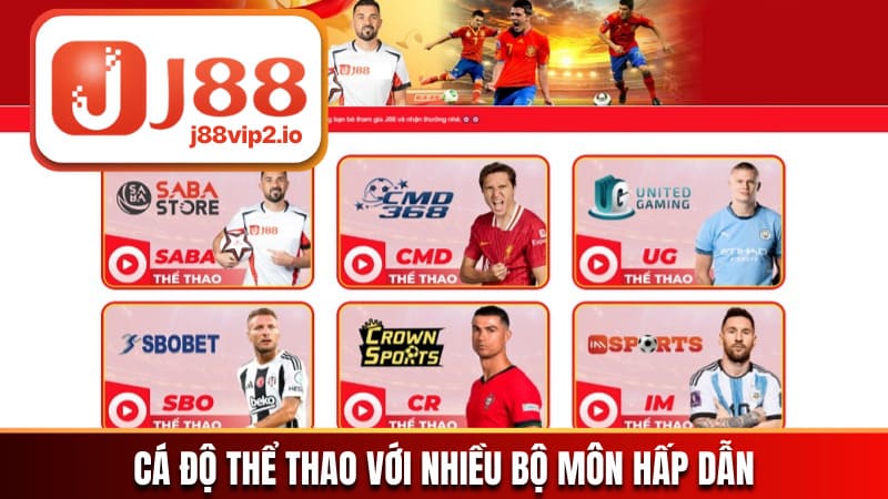 Cá độ thể thao với nhiều bộ môn hấp dẫn, thú vị
