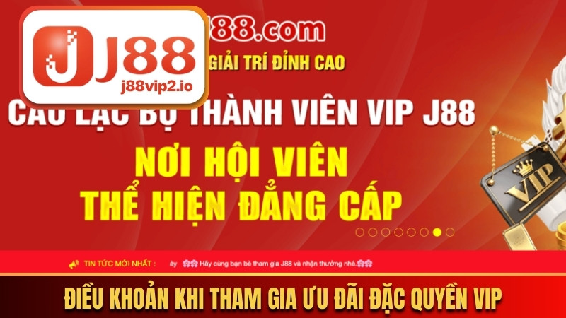 Điều khoản khi tham gia ưu đãi đặc quyền VIP của thương hiệu 