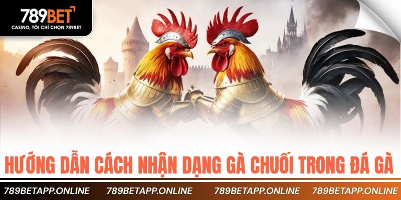 Hướng dẫn cách nhận dạng gà chuối trong đá gà